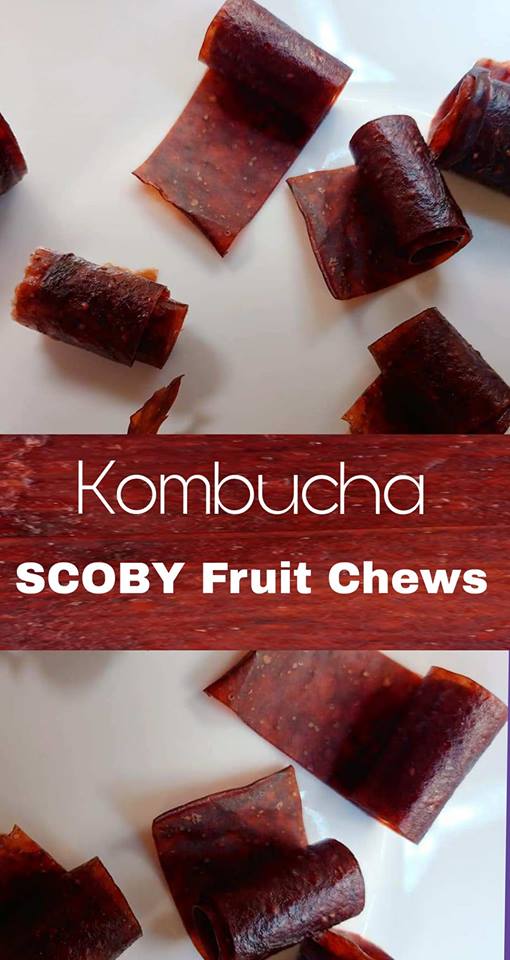 How To Make Kombucha SCOBY Fruit Chews - Jett's Kitchen