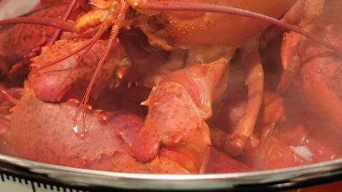 Make a Flavorful Lobster Stock - Jett's Kitchen